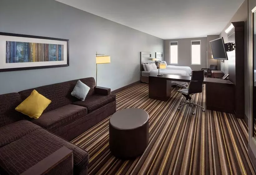 Hampton Inn & Suites Denver Downtownconvention Center