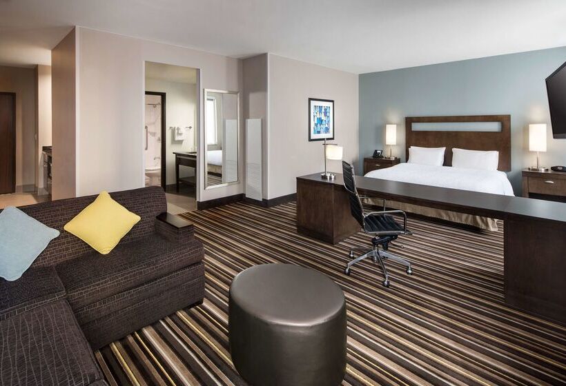 Hampton Inn & Suites Denver Downtownconvention Center