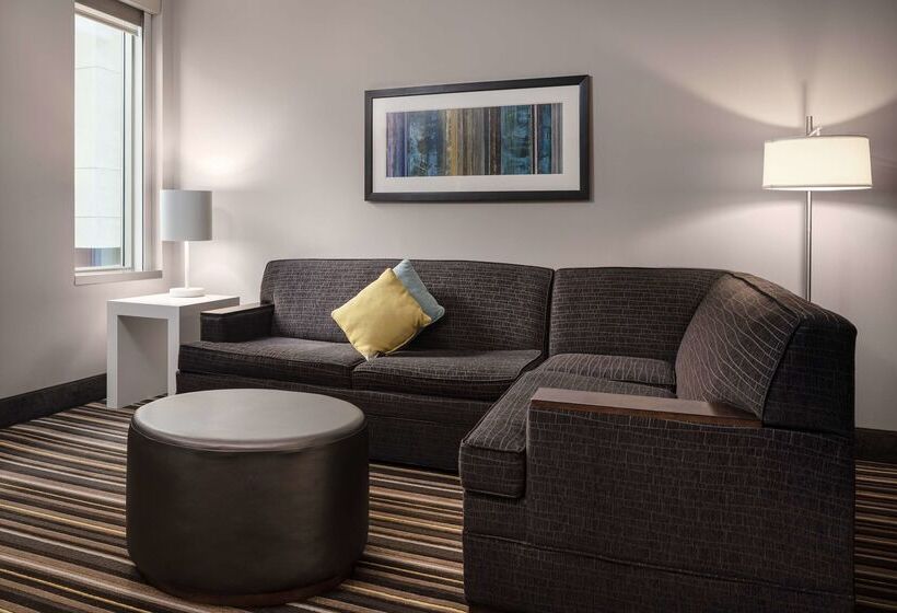 Hampton Inn & Suites Denver Downtownconvention Center