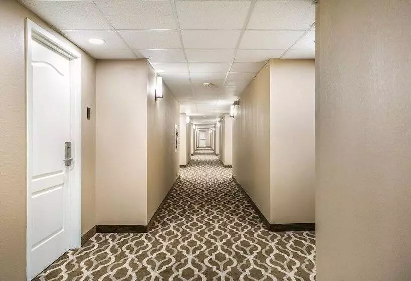 Aspire Hotel And Suites