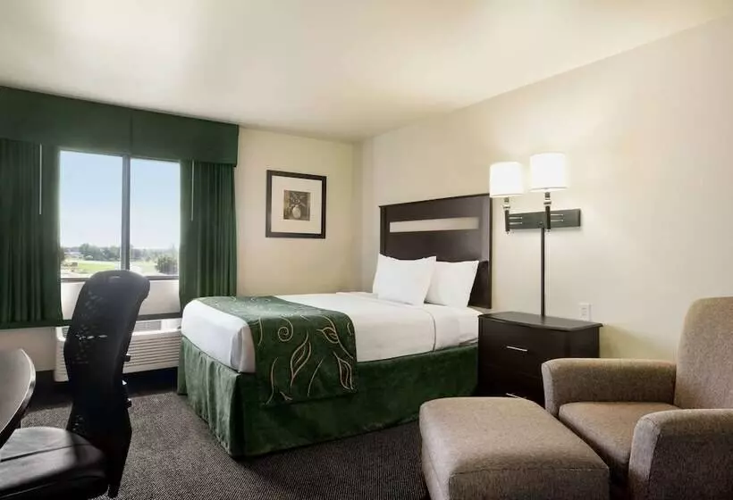 酒店 Baymont By Wyndham Glenwood