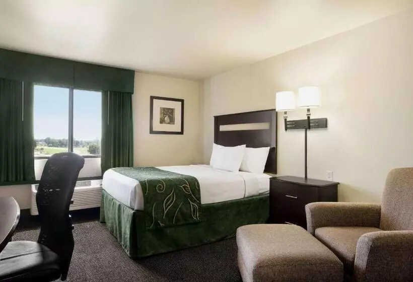 酒店 Baymont By Wyndham Glenwood