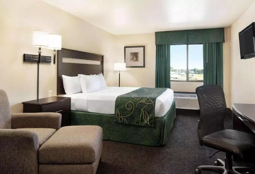 酒店 Baymont By Wyndham Glenwood