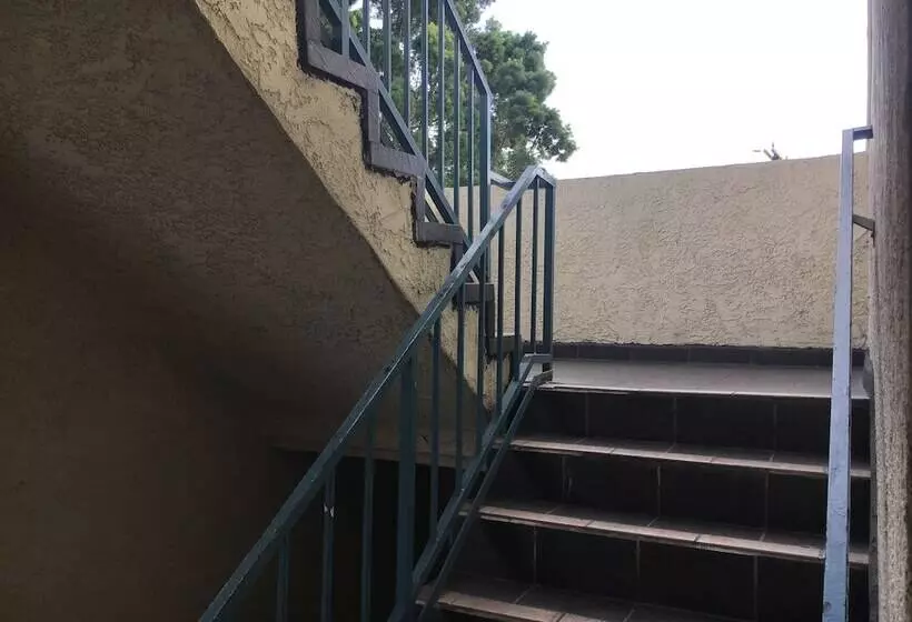 Отель Bellflower Travel Inn