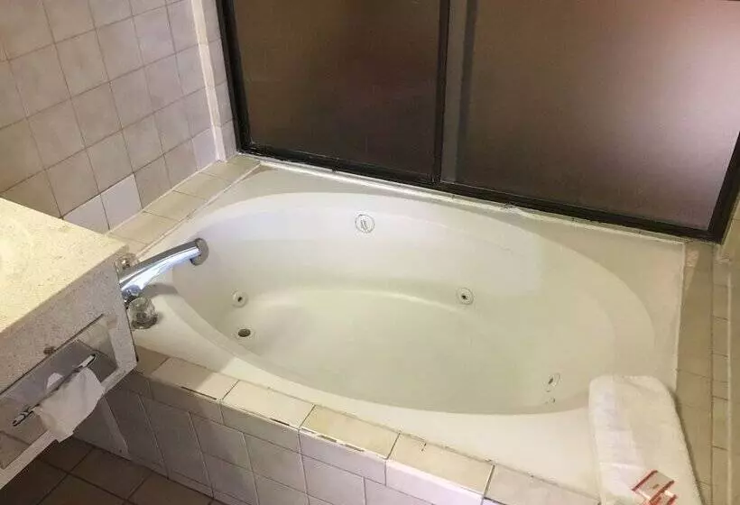 Отель Bellflower Travel Inn