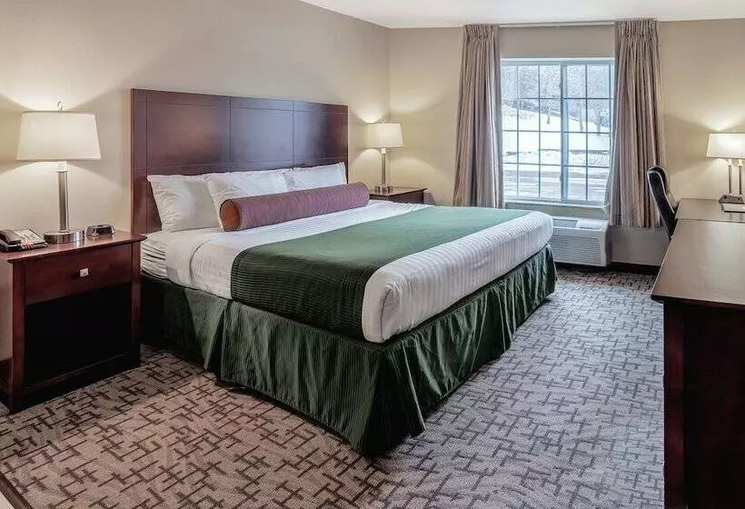 ホテル Cobblestone Inn & Suites  Durand