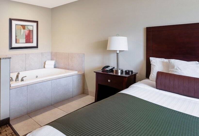 בית מלון כפרי Cobblestone Inn & Suites  Durand