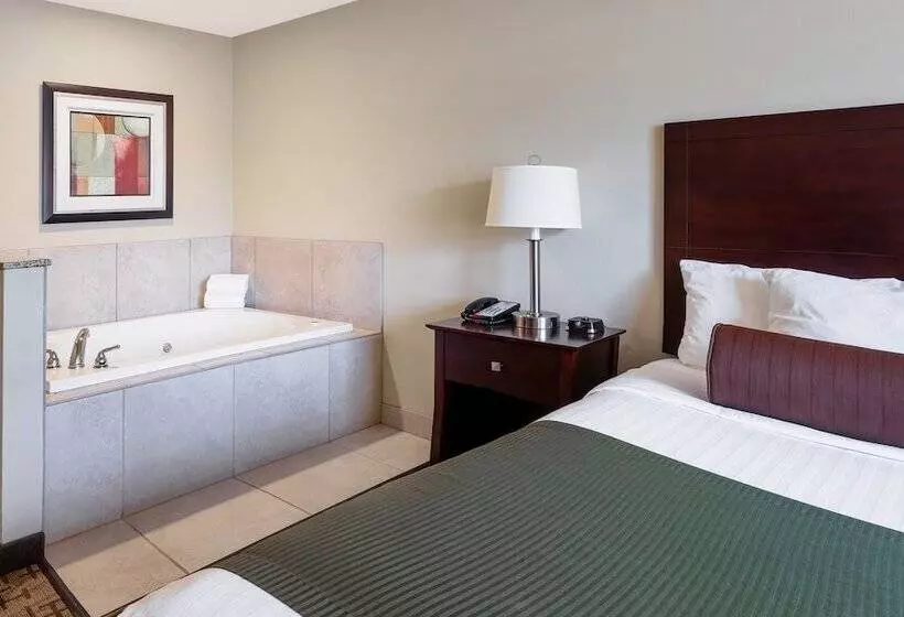 ホテル Cobblestone Inn & Suites  Durand