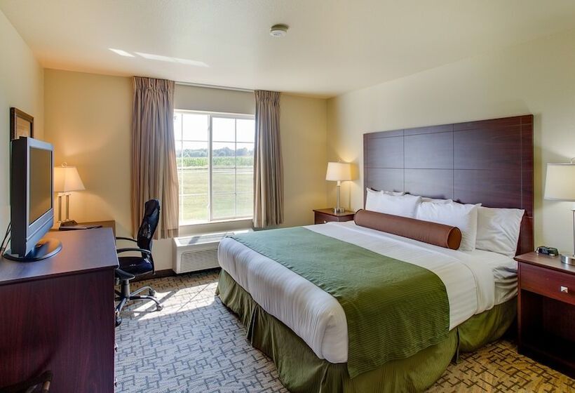 בית מלון כפרי Cobblestone Inn & Suites  Durand