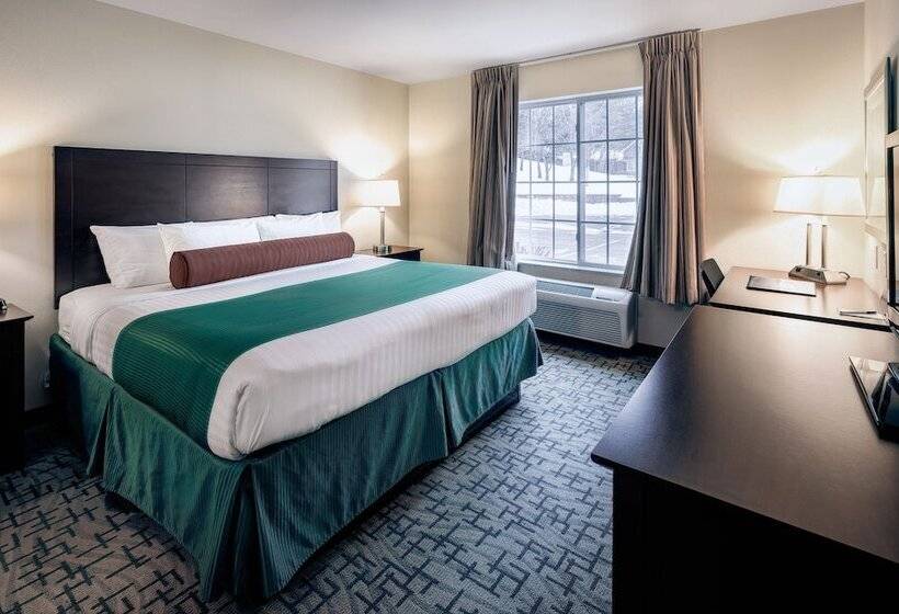 בית מלון כפרי Cobblestone Inn & Suites  Durand