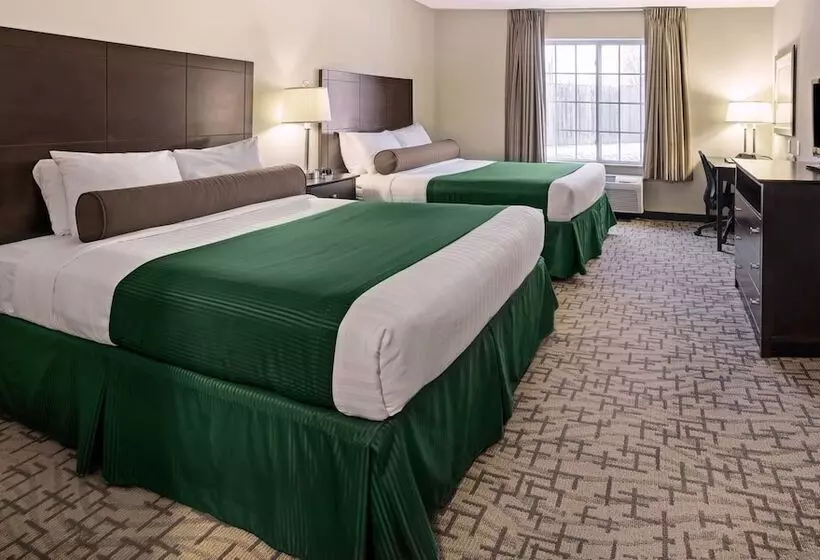 ホテル Cobblestone Inn & Suites  Durand