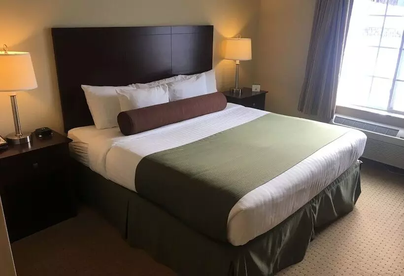 ホテル Cobblestone Inn & Suites  Durand