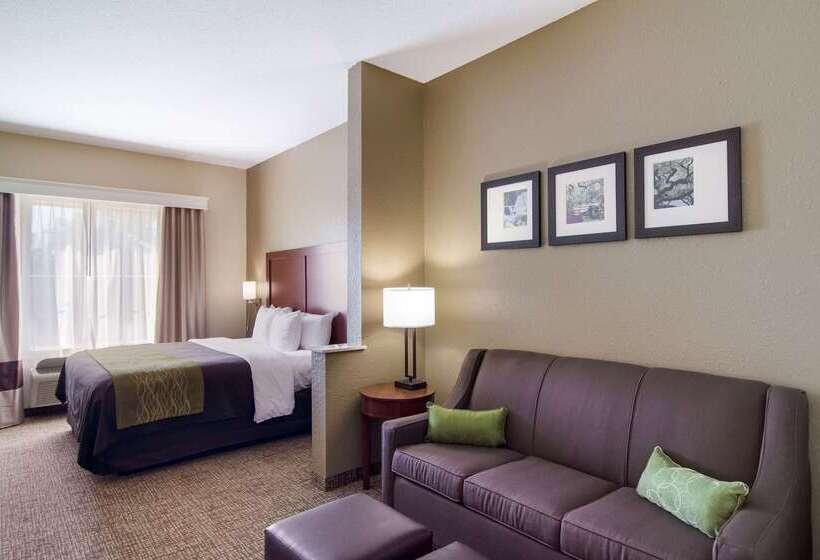 호텔 Comfort Inn Blackshear Hwy 84