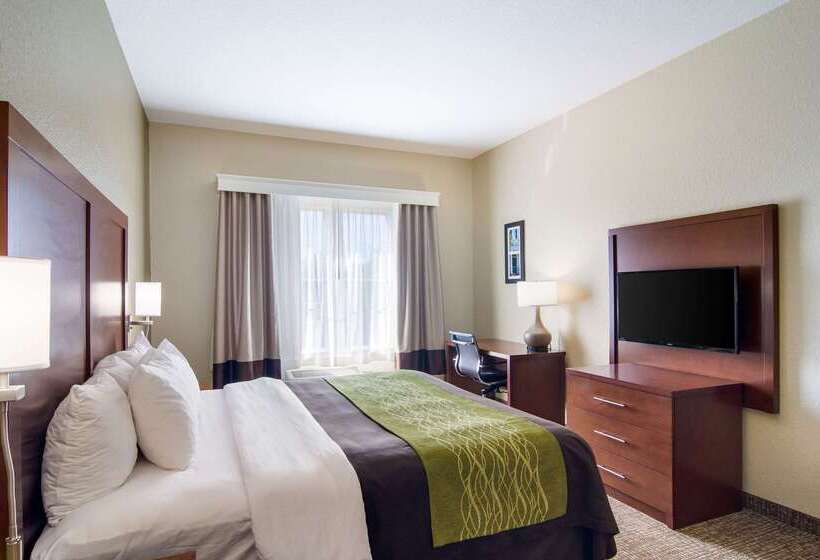 호텔 Comfort Inn Blackshear Hwy 84