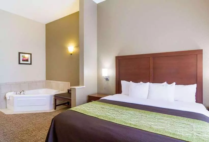 בית מלון כפרי Comfort Inn Blackshear Hwy 84