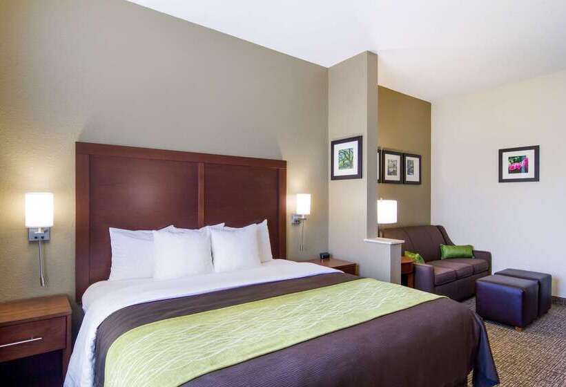 호텔 Comfort Inn Blackshear Hwy 84