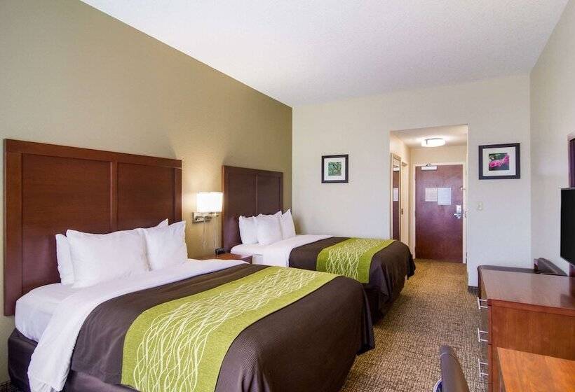 호텔 Comfort Inn Blackshear Hwy 84