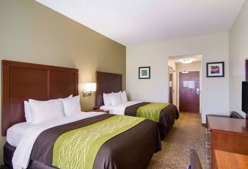 בית מלון כפרי Comfort Inn Blackshear Hwy 84