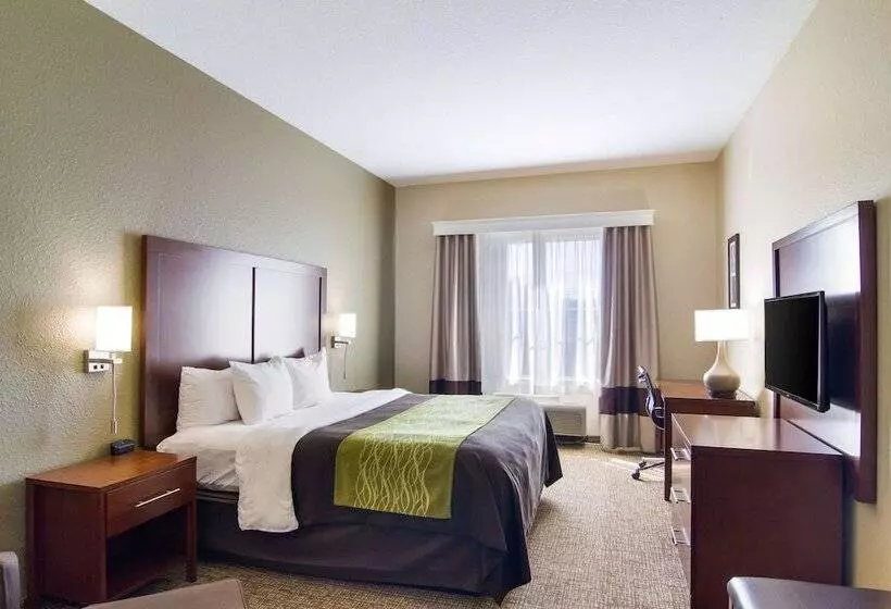 בית מלון כפרי Comfort Inn Blackshear Hwy 84