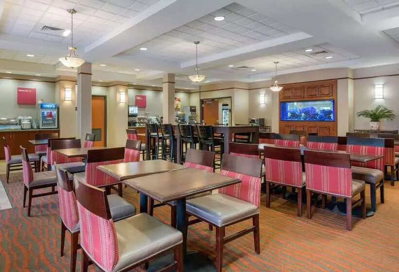 ホテル Comfort Suites Sarasota Siesta Key