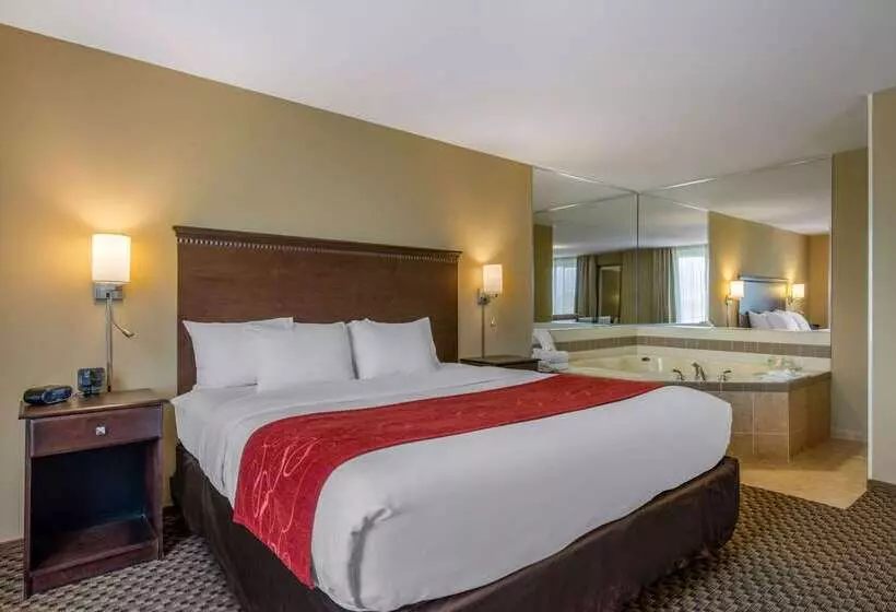 ホテル Comfort Suites Sarasota Siesta Key