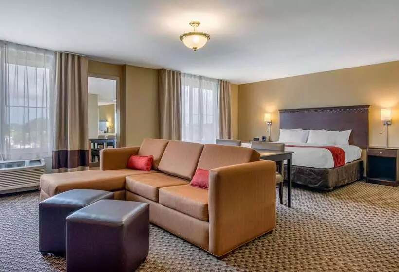 ホテル Comfort Suites Sarasota Siesta Key
