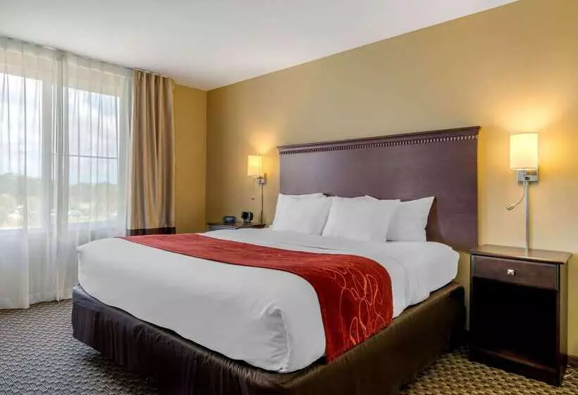 ホテル Comfort Suites Sarasota Siesta Key