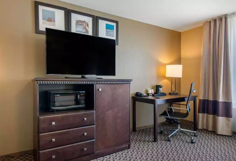 ホテル Comfort Suites Sarasota Siesta Key