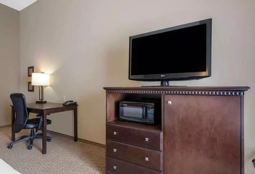 ホテル Comfort Suites Sarasota Siesta Key