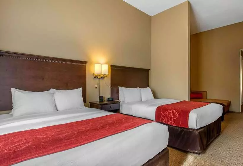 ホテル Comfort Suites Sarasota Siesta Key