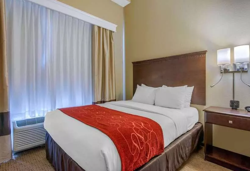 ホテル Comfort Suites Sarasota Siesta Key