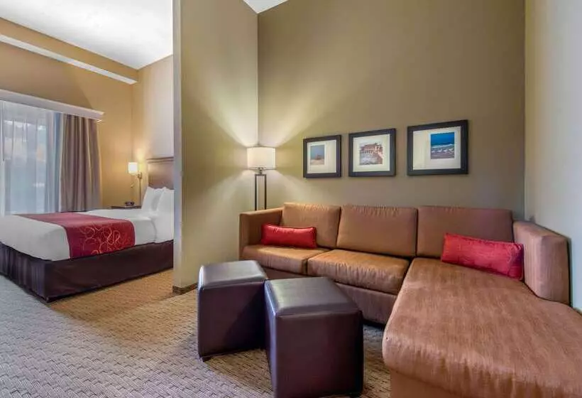 ホテル Comfort Suites Sarasota Siesta Key