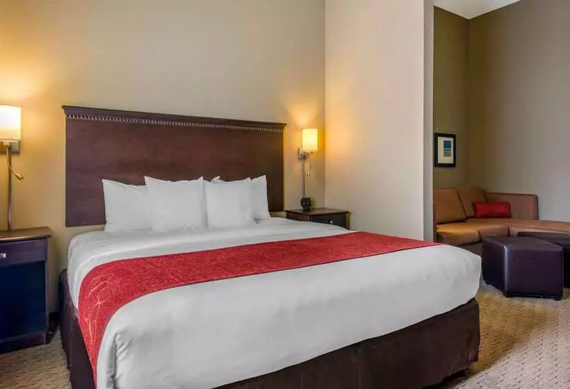 ホテル Comfort Suites Sarasota Siesta Key