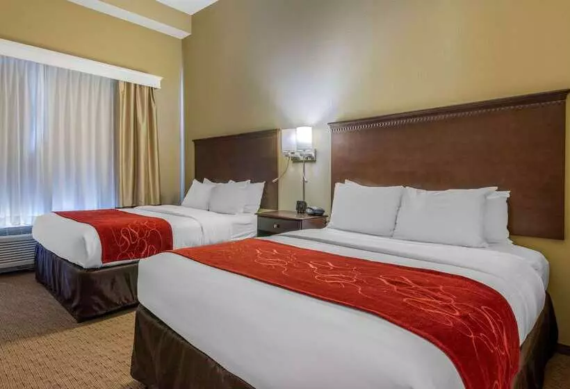 ホテル Comfort Suites Sarasota Siesta Key