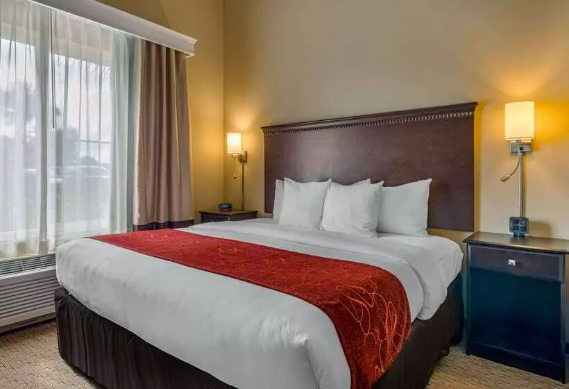 ホテル Comfort Suites Sarasota Siesta Key