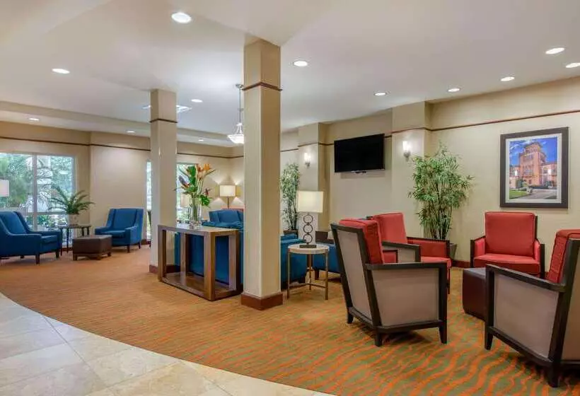 ホテル Comfort Suites Sarasota Siesta Key