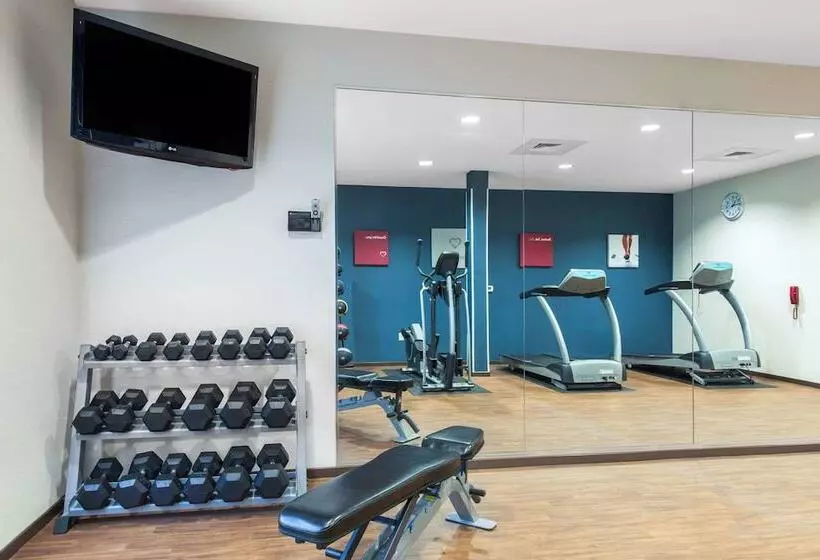 ホテル Comfort Suites Sarasota Siesta Key