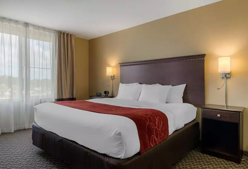 ホテル Comfort Suites Sarasota Siesta Key