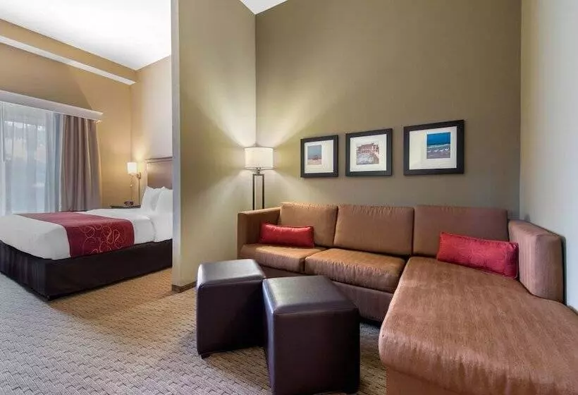 ホテル Comfort Suites Sarasota Siesta Key