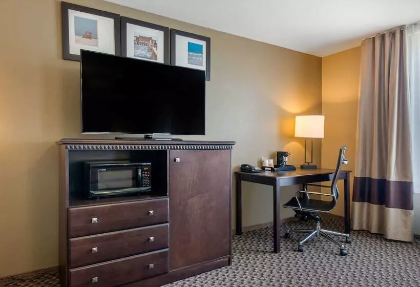 ホテル Comfort Suites Sarasota Siesta Key