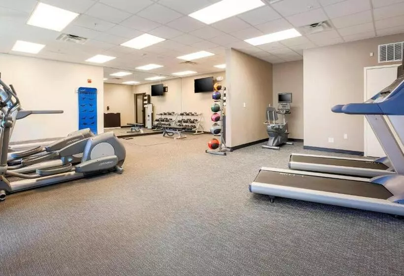 Szálloda Courtyard By Marriott Dallas Arlington South