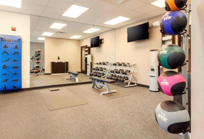 فندق Courtyard By Marriott Dallas Arlington South