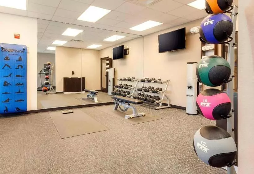 Szálloda Courtyard By Marriott Dallas Arlington South