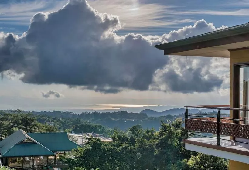 Hotel Ficus Sunset Suites