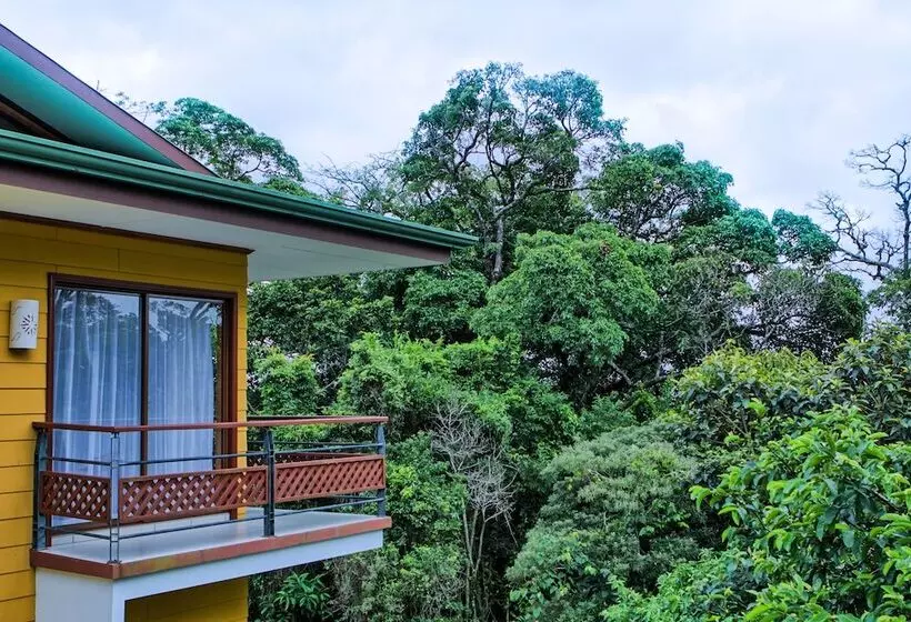 Hotel Ficus Sunset Suites