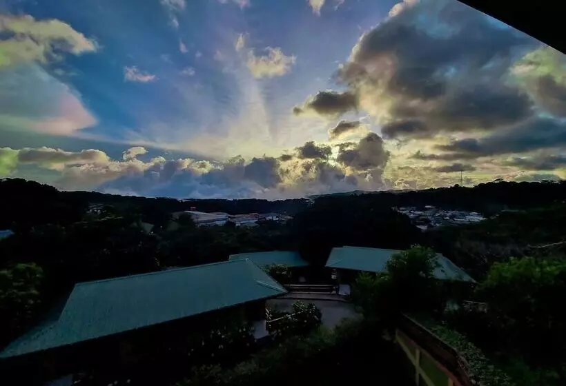 Hotel Ficus Sunset Suites