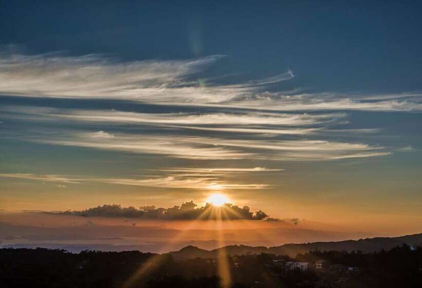 فندق Ficus Sunset Suites