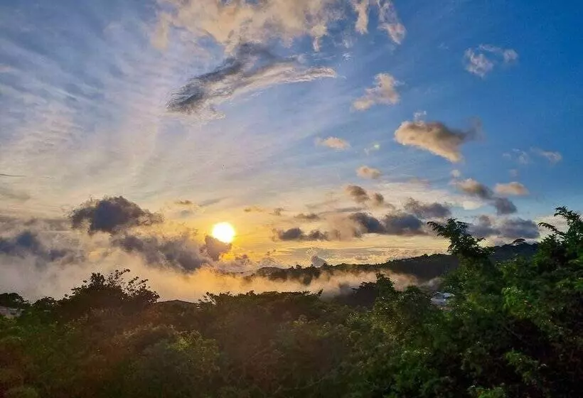 Hotel Ficus Sunset Suites