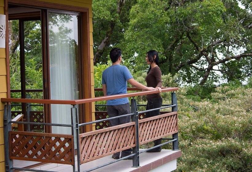 فندق Ficus Sunset Suites