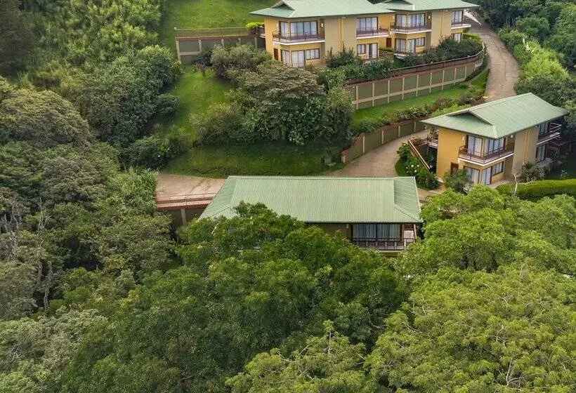 Hotel Ficus Sunset Suites